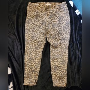 Torrid Leopard print Jegging